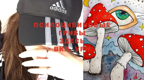 эйфоретик Гусь-Хрустальный