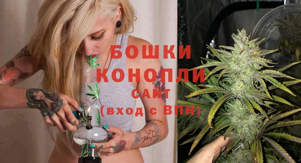 эйфоретик Гусь-Хрустальный