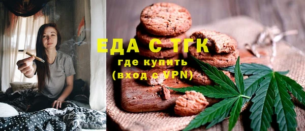 эйфоретик Гусь-Хрустальный