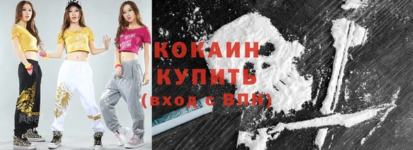 эйфоретик Гусь-Хрустальный