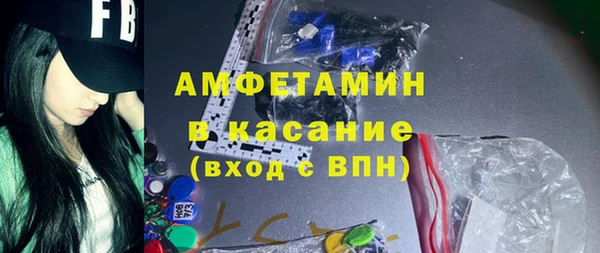 эйфоретик Гусь-Хрустальный