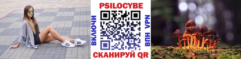 Купить закладки  Знаменск  Галлюциногенные грибы ЛСД 